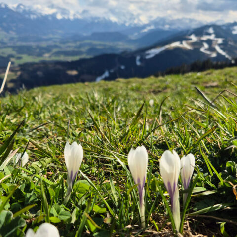 So nicht! 5 Fehler beim Pitchen, die Du vermeiden solltest