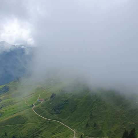 Weiterbildungen, Tools, Coaching – trotzdem kommst Du nicht richtig voran? Woran das liegt